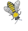 dancing bee